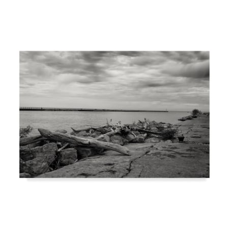 Anthony Paladino 'Cloudscape Over Pier With Driftwood' Canvas Art,12x19